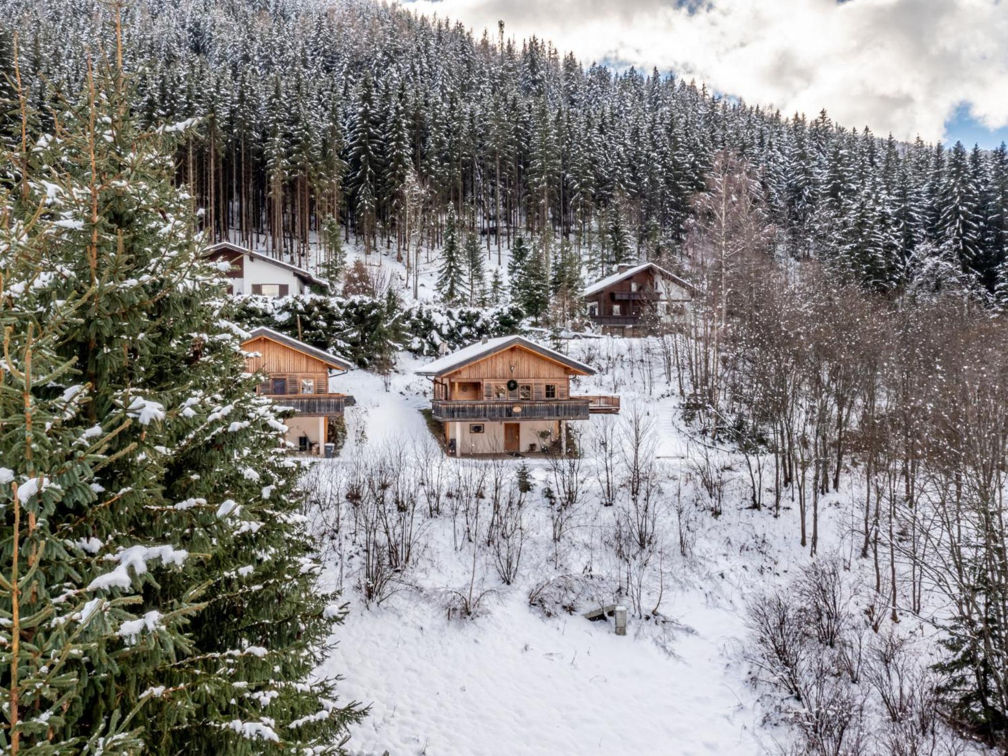 Chalet Chalet Venus By Interhome Patergassen Exterior photo
